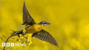 Wildlife In Crisis As Reports Reveal Mounting Threats