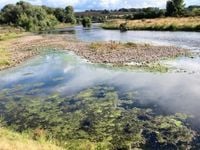 Drought declared in south-east Wales following driest six-month period for nearly 50 years