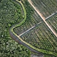 EU proposes new delay to anti-deforestation rules