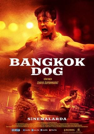 Bangkok Dog