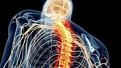 Kadınlar ve Erkekler Ağrıyı Farklı Şekillerde Hafifletiyor!