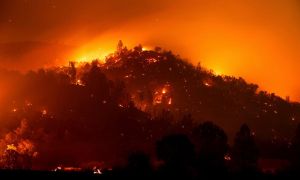 California Wildfire Season 2024 Shows Increasing Threats And Community Resilience