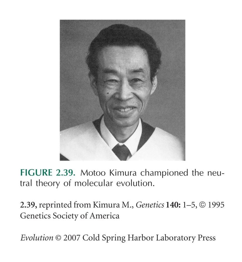 Motoo Kimura