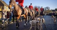 Boxing day hunts to be thing of the past with trail hunting set to be banned