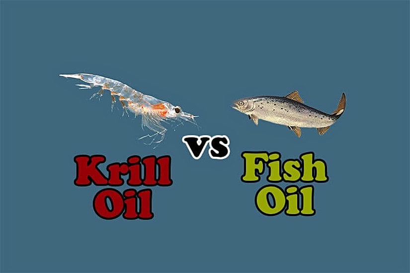Krill Yağı Karşı Balık Yağı