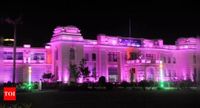 CM Nitish Kumar to inaugurate five-day Bihar Diwas celebrations today | Patna News - The Times of India