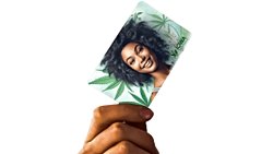 Iowa Medical Cannabis Card: Everything You Need to Know