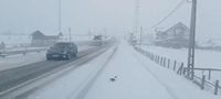 VIDEO: Atenție, șoferi! Se circulă în condiții de iarnă pe DN 17, în Pasul Tihuța - ZIAR DE BISTRIȚA