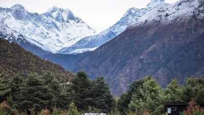 İklim Değişimi, Himalayalar'daki Ağaç Türleri Arasındaki Dengeyi Değiştiriyor!