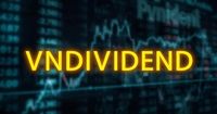 Lần đầu tiên chứng khoán Việt Nam có bộ chỉ số gồm các cổ phiếu tăng trưởng chi trả cổ tức VNDIVIDEND