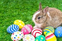 Frohe Ostern 2025: Die schönsten Ostergrüße und lustige Sprüche