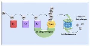 New Discoveries Unravel RNF167's Role In Antiviral Immunity