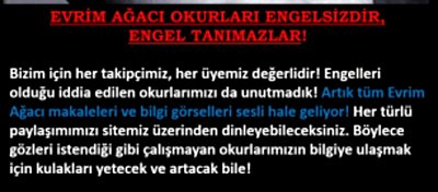 Evrim Ağacı - SESİNİZ OLSUN Sosyal Sorumluluk Projesi