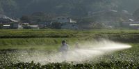 Farmer says 'we're in a very dire situation' ahead of harvest—with zero soybean orders from China, historically the largest buyer | Fortune