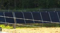 New solar farm producing energy for Maryville power grid, Denso