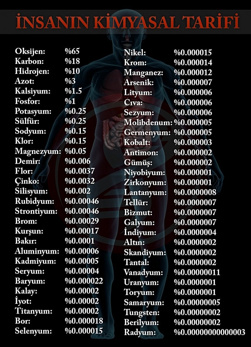 İnsanın Kimyasal Tarifi