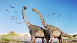 Çin'in Kuzeybatısında 2 Yeni Sauropod Dinozor Türü Keşfedildi!