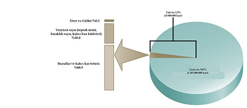 Dünya'da bulunan suyun yalnızca %2.5'i tatlı sudur. Bu tatlı suyun ise %1'inden daha azlık bir kısmı canlılar için erişilebilir konumdadır.