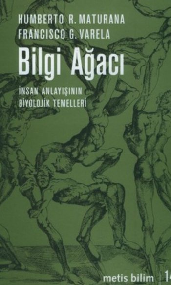 Bilgi Ağacı