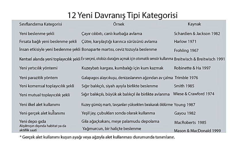 Bilim insanlarının yeni davranışları sınıflandırdığı 12 kategori ve örnekleri