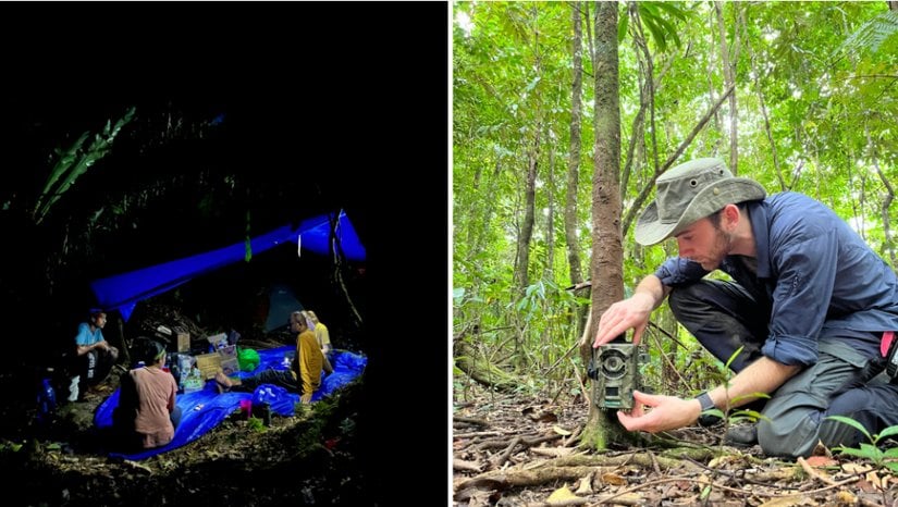 Dişli Gagalı Güvercin keşif ekibinin üyeleri. Solda, bir ekip üyesi iz kamerası kuruyor.
