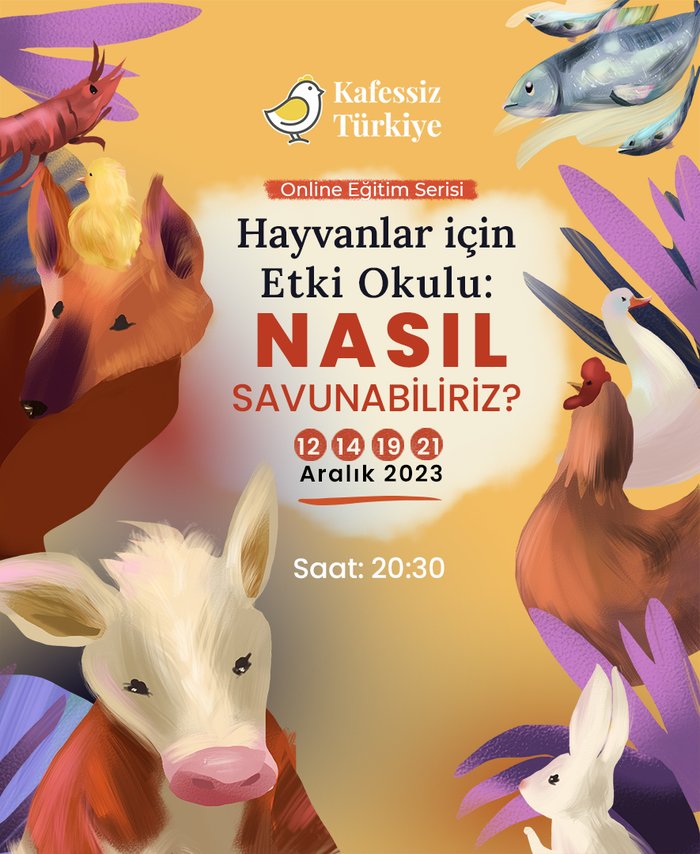 Hayvanlar İçin Etki Okulu: Nasıl Savunabiliriz?
