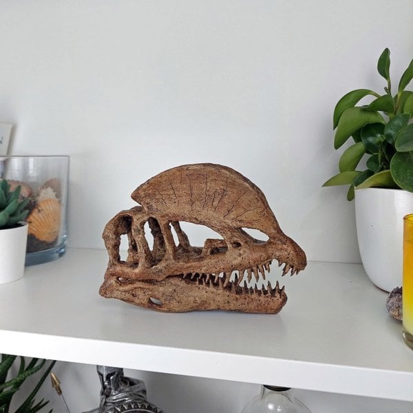 Dilophosaurus Mini Seramik Heykel