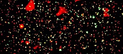 Dolunay Kadar Bir Görüş Alanına Sığan Galaksi Kümeleri!