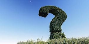 Cashwalk Quiz Engages Users With Exciting Rewards