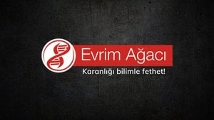 A.G.A.