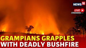 Firefighters Battle Grampians National Park Bushfires Amid Heatwave