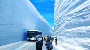 Severe Snowfall Disrupts Life Along Japan's East Coast