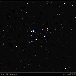 The 37 Cluster
