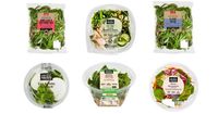 Salad products recalled over contamination fears