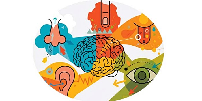 Duygusal Pazarlama Konulu Anket Çalışması