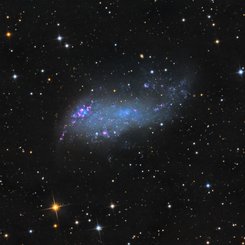 IC 2574: Coddington's Nebula