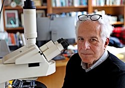 Harvard'lı Bilim İnsanları, Beynin Şimdiye Kadarki En Detaylı Haritasını Çıkardı.