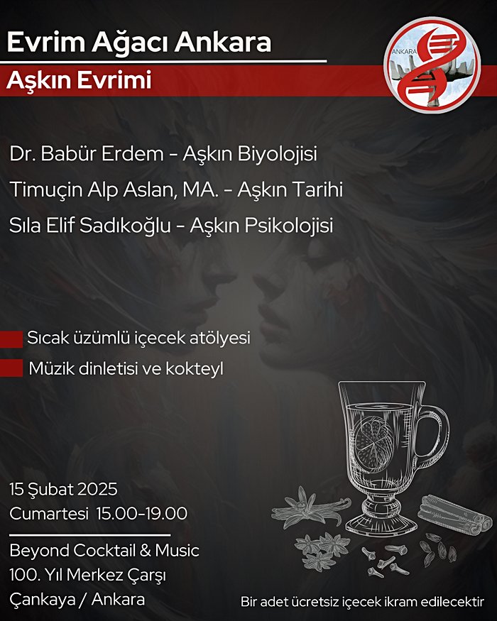 Evrim Ağacı Ankara - Aşkın Evrimi