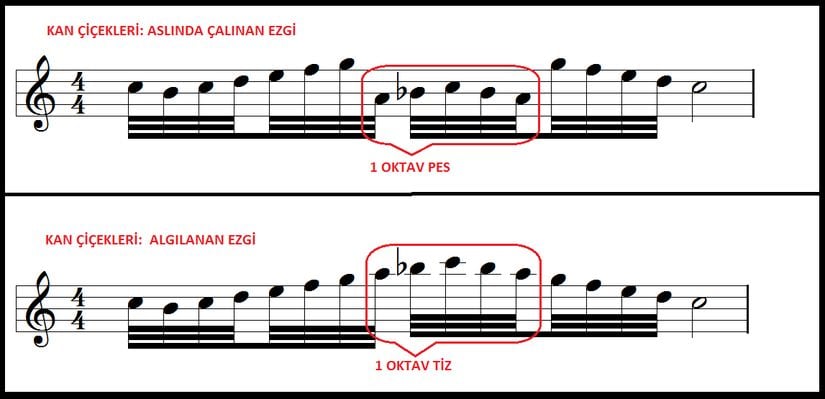 Kan Çiçekleri: Çalınan ve Algılanan Ezgi