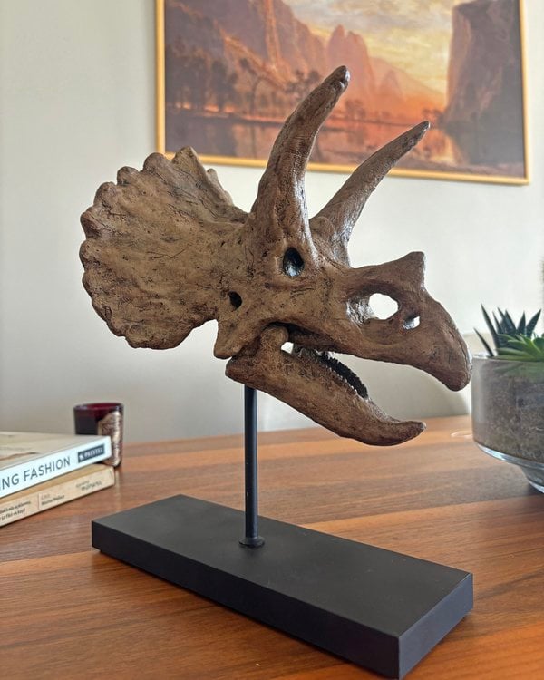 Triceratops