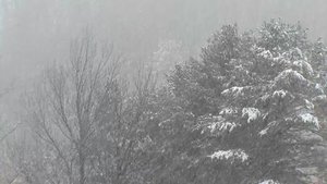 Heavy Snow And Rain Blanket South Korea Tuesday