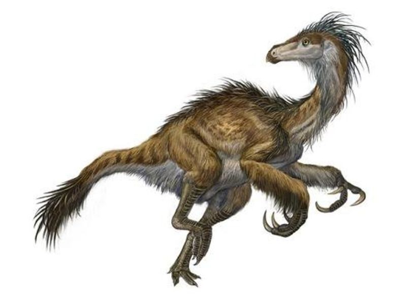 Beipiaosaurus