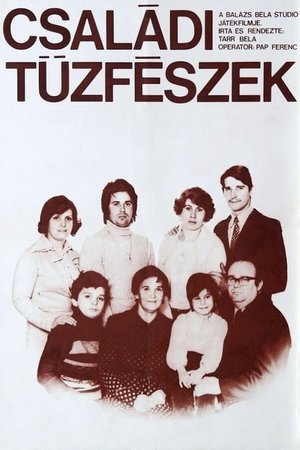 Aile Yuvası