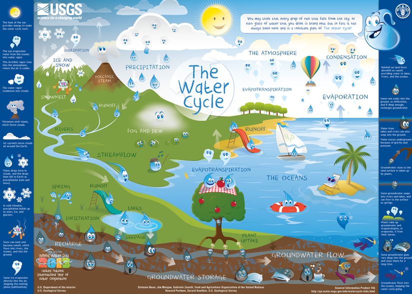 Children's Water Cycle Poster