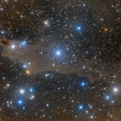  The Shark Nebula 