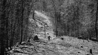 Barkley Marathons 2025: LIVE NOW - onto loop two and who's taking part in brutal race