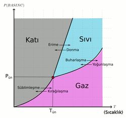 Buzluktaki su buharı nasıl oluşur?