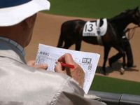 【京都新聞杯2025予想】「血統・騎手・脚質」から見る勝ち馬の条件とは？