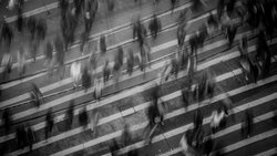 Dinle İlgili Yazılar-1