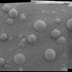 A Patch of Spherules on Mars